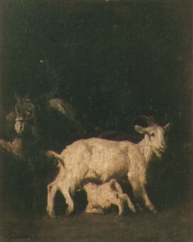 Animali - Capodimonte, Napoli